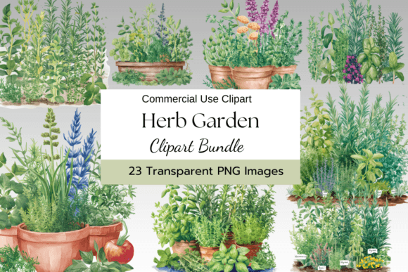 Download Herb Garden Watercolor Clipart - Premium Resources