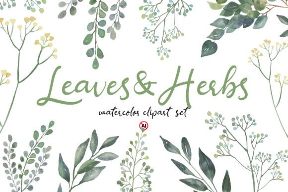 Download Watercolor Leaves &amp; Herbs Clipart Set - Herb Collection